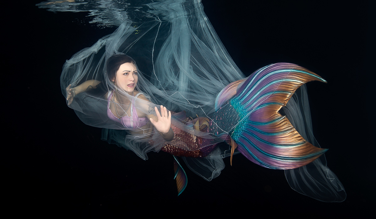 Catched a Mermaid